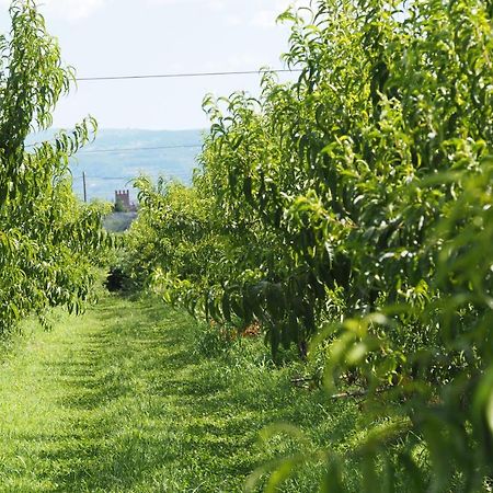Agriturismo Fior Di Maggio Pescantina Dış mekan fotoğraf