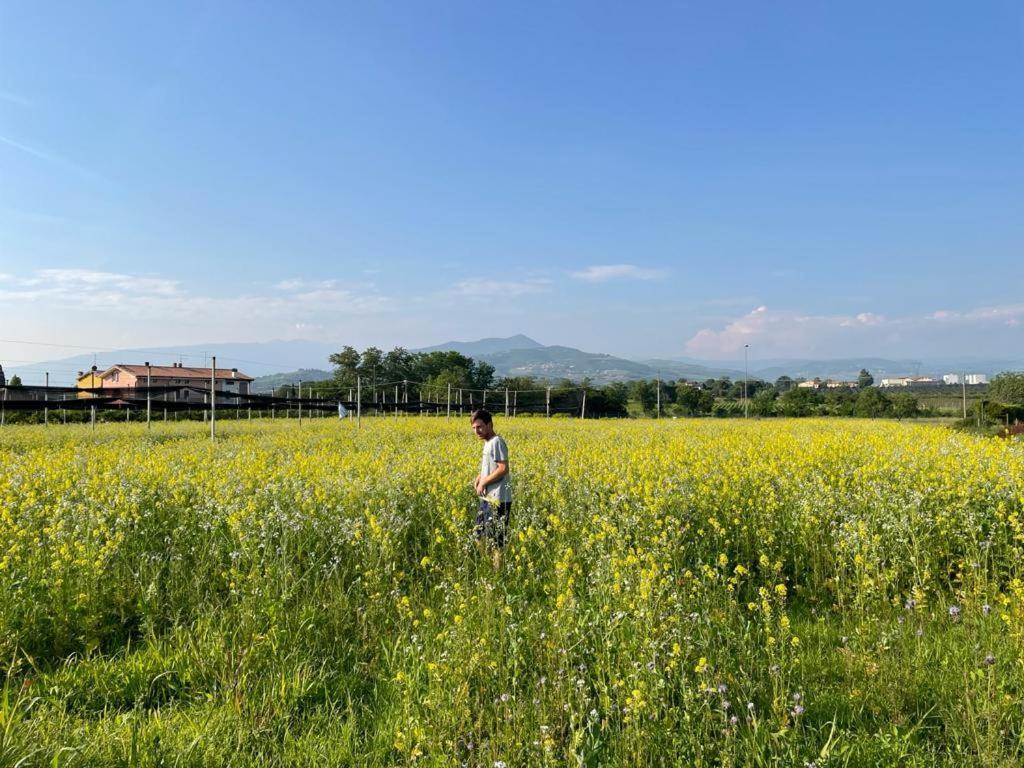 Agriturismo Fior Di Maggio Pescantina Dış mekan fotoğraf