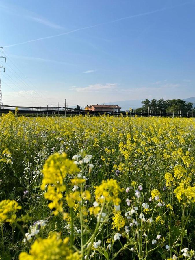 Agriturismo Fior Di Maggio Pescantina Dış mekan fotoğraf