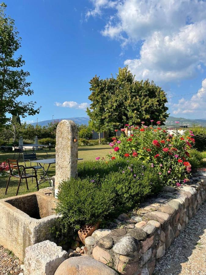 Agriturismo Fior Di Maggio Pescantina Dış mekan fotoğraf