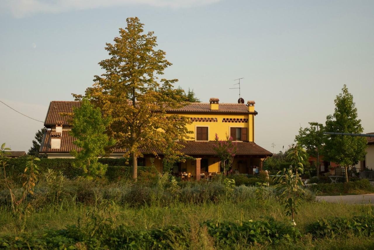 Agriturismo Fior Di Maggio Pescantina Dış mekan fotoğraf