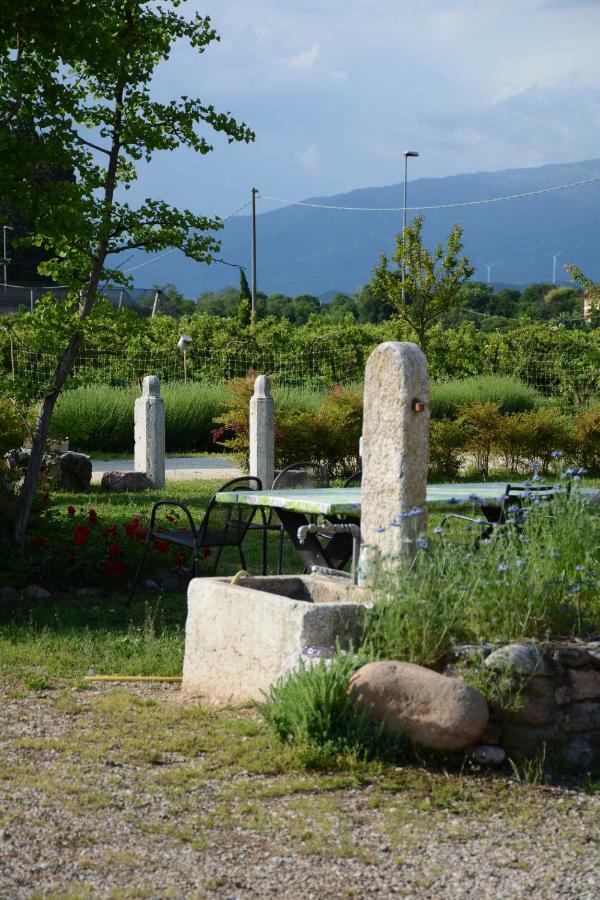 Agriturismo Fior Di Maggio Pescantina Dış mekan fotoğraf
