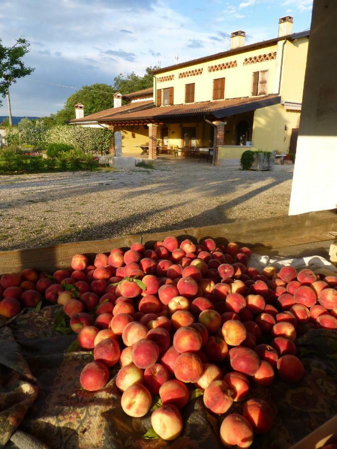 Agriturismo Fior Di Maggio Pescantina Dış mekan fotoğraf
